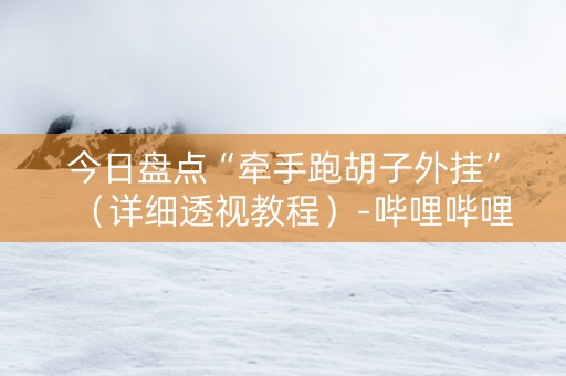 今日盘点“牵手跑胡子外挂”（详细透视教程）-哔哩哔哩