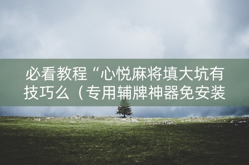 必看教程“心悦麻将填大坑有技巧么（专用辅牌神器免安装）