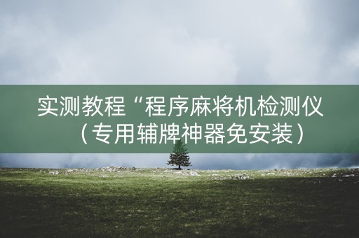 实测教程“程序麻将机检测仪（专用辅牌神器免安装）