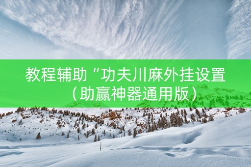 教程辅助“功夫川麻外挂设置（助赢神器通用版）