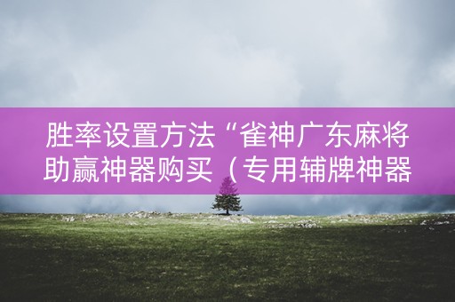 胜率设置方法“雀神广东麻将助赢神器购买（专用辅牌神器免安装）