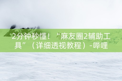 2分钟秒懂！“麻友圈2辅助工具”（详细透视教程）-哔哩哔哩