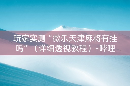 玩家实测“微乐天津麻将有挂吗”（详细透视教程）-哔哩哔哩