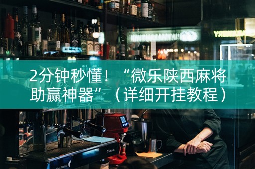 2分钟秒懂！“微乐陕西麻将助赢神器”（详细开挂教程）-哔哩哔哩