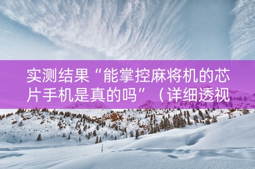 实测结果“能掌控麻将机的芯片手机是真的吗”（详细透视教程）-哔哩哔哩