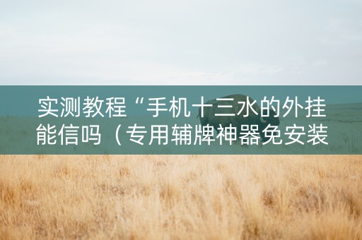 实测教程“手机十三水的外挂能信吗（专用辅牌神器免安装）