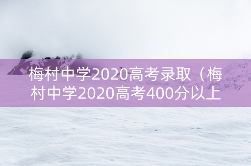 梅村中学2020高考录取（梅村中学2020高考400分以上）