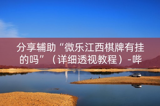 分享辅助“微乐江西棋牌有挂的吗”（详细透视教程）-哔哩哔哩