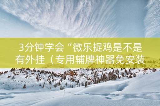 3分钟学会“微乐捉鸡是不是有外挂（专用辅牌神器免安装）