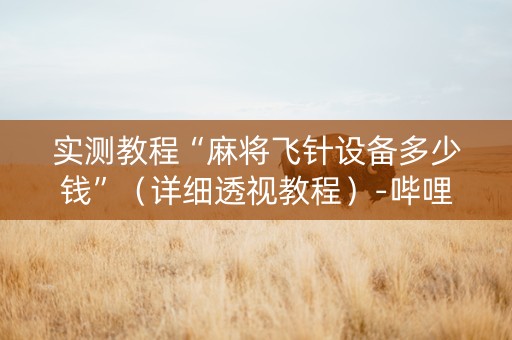 实测教程“麻将飞针设备多少钱”（详细透视教程）-哔哩哔哩