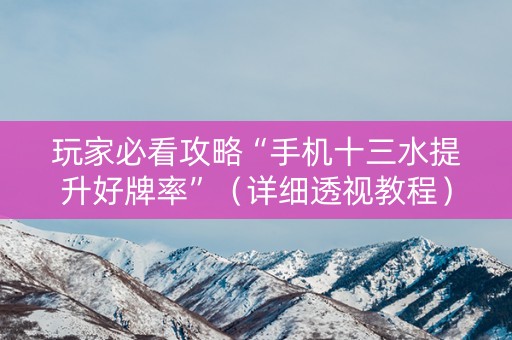 玩家必看攻略“手机十三水提升好牌率”（详细透视教程）-哔哩哔哩