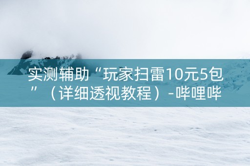 实测辅助“玩家扫雷10元5包”（详细透视教程）-哔哩哔哩
