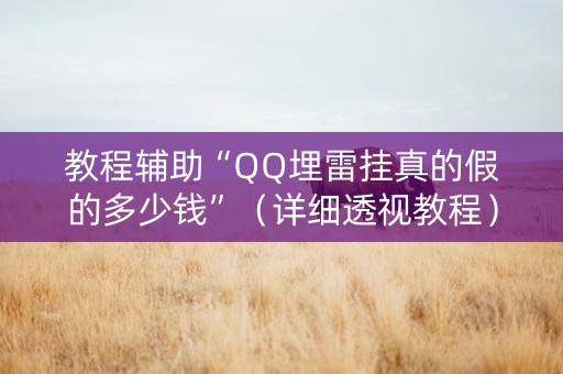 教程辅助“QQ埋雷挂真的假的多少钱”（详细透视教程）-哔哩哔哩