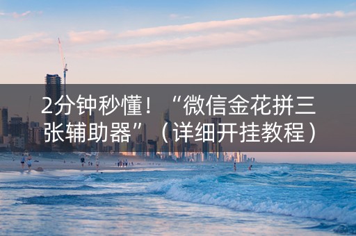 2分钟秒懂！“微信金花拼三张辅助器”（详细开挂教程）-哔哩哔哩