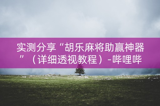实测分享“胡乐麻将助赢神器”（详细透视教程）-哔哩哔哩
