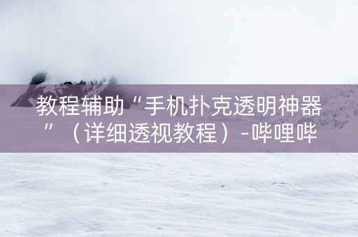 教程辅助“手机扑克透明神器”（详细透视教程）-哔哩哔哩