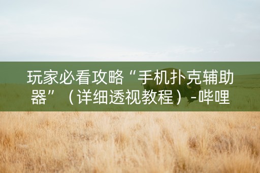 玩家必看攻略“手机扑克辅助器”（详细透视教程）-哔哩哔哩