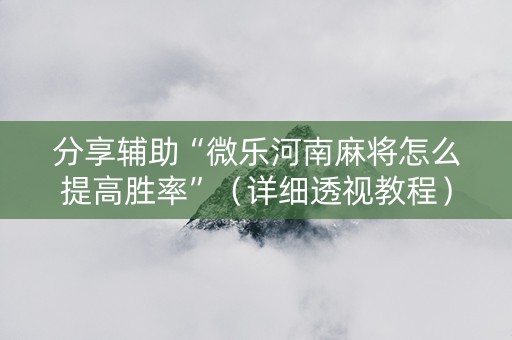 分享辅助“微乐河南麻将怎么提高胜率”（详细透视教程）-哔哩哔哩