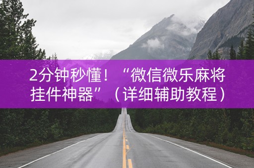 2分钟秒懂！“微信微乐麻将挂件神器”（详细辅助教程）-哔哩哔哩