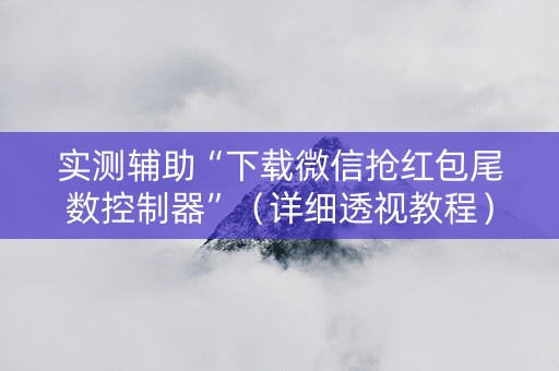 实测辅助“下载微信抢红包尾数控制器”（详细透视教程）-哔哩哔哩