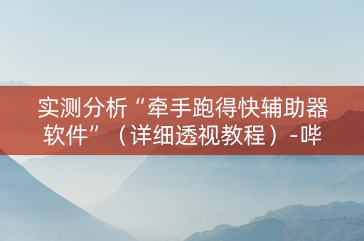 实测分析“牵手跑得快辅助器软件”（详细透视教程）-哔哩哔哩