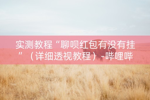 实测教程“聊呗红包有没有挂”（详细透视教程）-哔哩哔哩