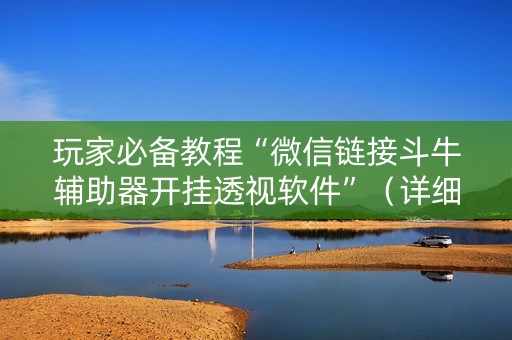 玩家必备教程“微信链接斗牛辅助器开挂透视软件”（详细透视教程）-哔哩哔哩