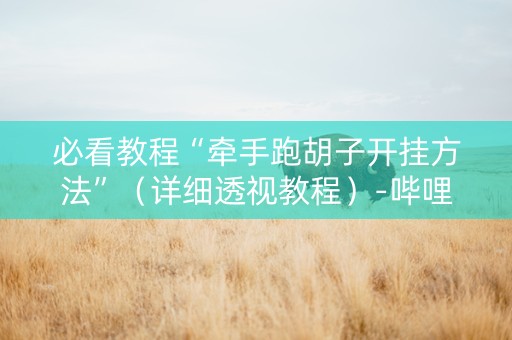 必看教程“牵手跑胡子开挂方法”（详细透视教程）-哔哩哔哩