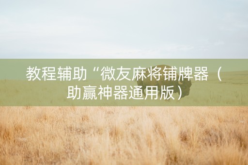 教程辅助“微友麻将铺牌器（助赢神器通用版）