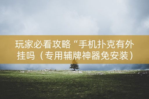 玩家必看攻略“手机扑克有外挂吗（专用辅牌神器免安装）