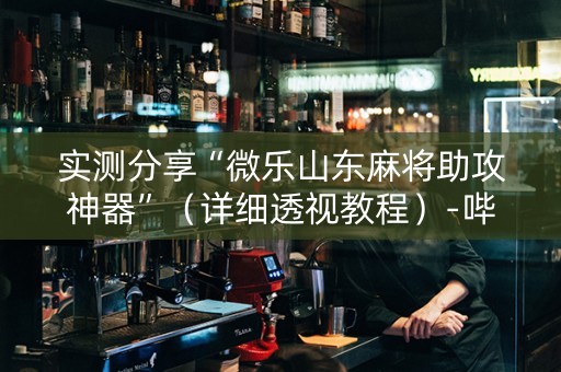 实测分享“微乐山东麻将助攻神器”（详细透视教程）-哔哩哔哩