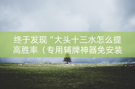 终于发现“大头十三水怎么提高胜率（专用辅牌神器免安装）