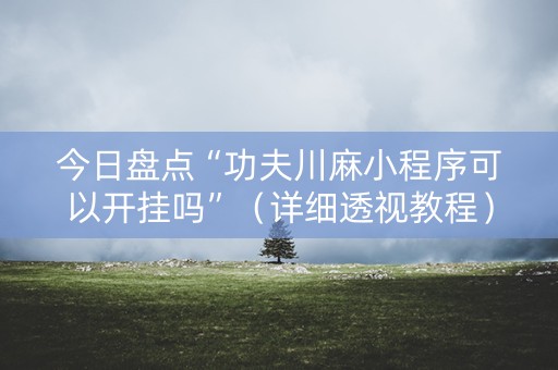 今日盘点“功夫川麻小程序可以开挂吗”（详细透视教程）-哔哩哔哩