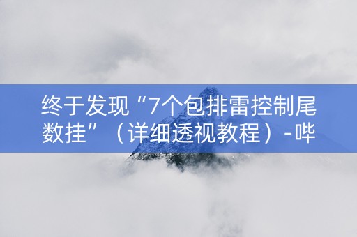 终于发现“7个包排雷控制尾数挂”（详细透视教程）-哔哩哔哩