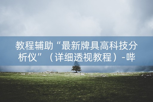 教程辅助“最新牌具高科技分析仪”（详细透视教程）-哔哩哔哩