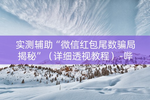 实测辅助“微信红包尾数骗局揭秘”（详细透视教程）-哔哩哔哩