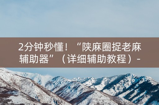 2分钟秒懂！“陕麻圈捉老麻辅助器”（详细辅助教程）-哔哩哔哩