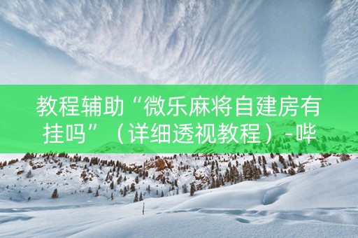 教程辅助“微乐麻将自建房有挂吗”（详细透视教程）-哔哩哔哩