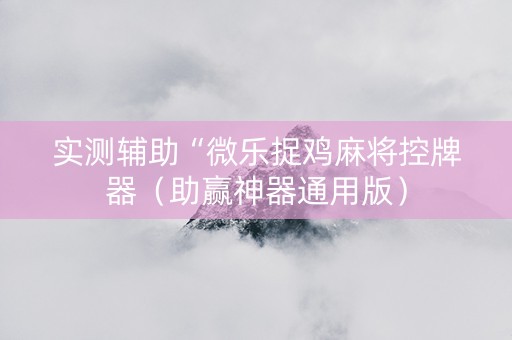 实测辅助“微乐捉鸡麻将控牌器（助赢神器通用版）