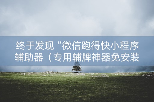 终于发现“微信跑得快小程序辅助器（专用辅牌神器免安装）