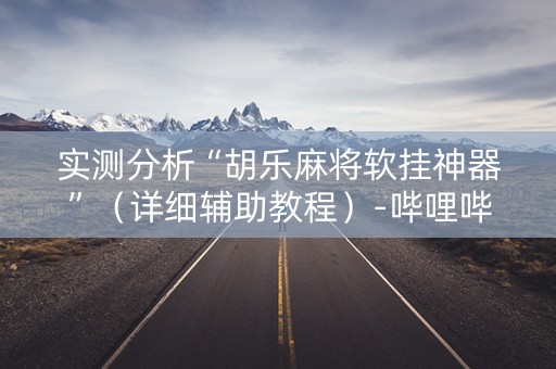 实测分析“胡乐麻将软挂神器”（详细辅助教程）-哔哩哔哩