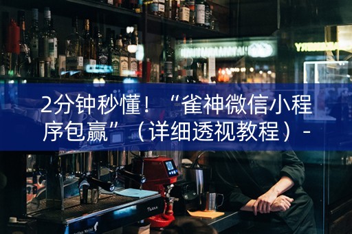2分钟秒懂！“雀神微信小程序包赢”（详细透视教程）-哔哩哔哩