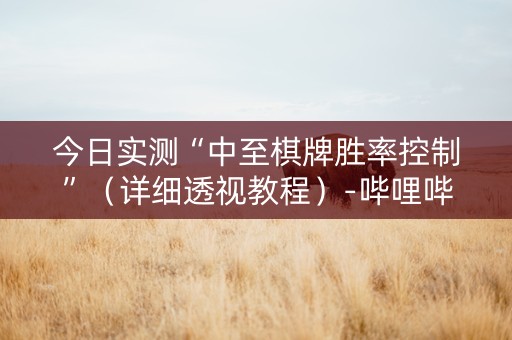 今日实测“中至棋牌胜率控制”（详细透视教程）-哔哩哔哩