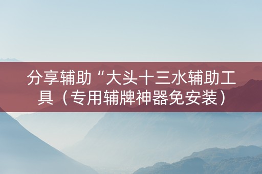 分享辅助“大头十三水辅助工具（专用辅牌神器免安装）