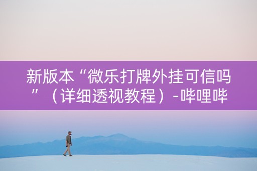 新版本“微乐打牌外挂可信吗”（详细透视教程）-哔哩哔哩