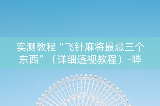 实测教程“飞针麻将最忌三个东西”（详细透视教程）-哔哩哔哩