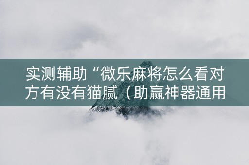 实测辅助“微乐麻将怎么看对方有没有猫腻（助赢神器通用版）