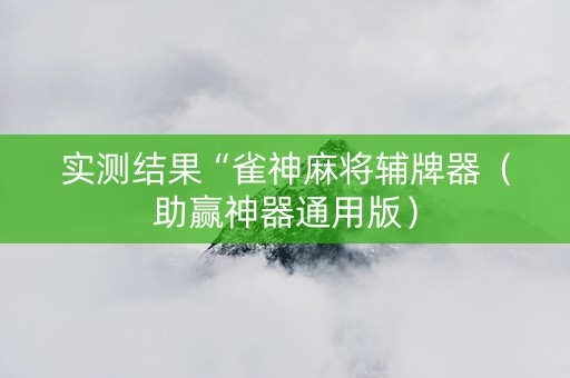 实测结果“雀神麻将辅牌器（助赢神器通用版）