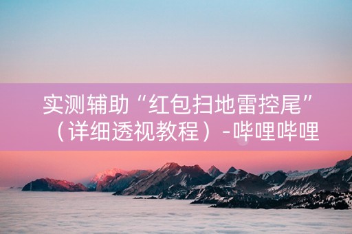 实测辅助“红包扫地雷控尾”（详细透视教程）-哔哩哔哩