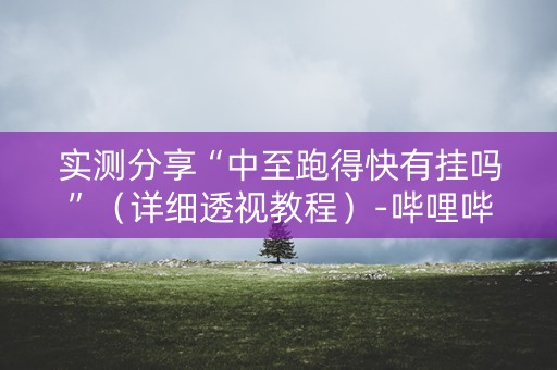 实测分享“中至跑得快有挂吗”（详细透视教程）-哔哩哔哩